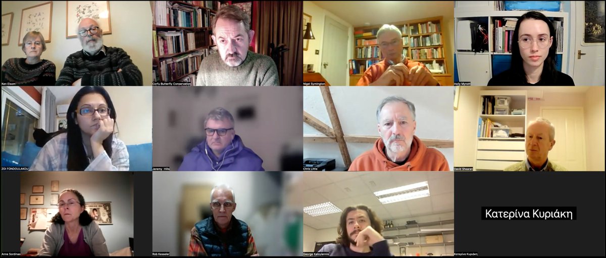 Corfu Butterfly Conservation tweet media