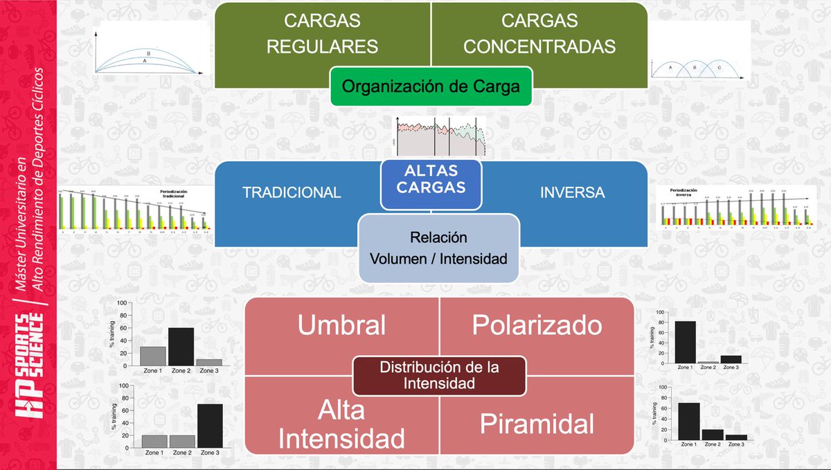 Máster Alto Rendimiento Deportes Cíclicos (@umu) tweet media