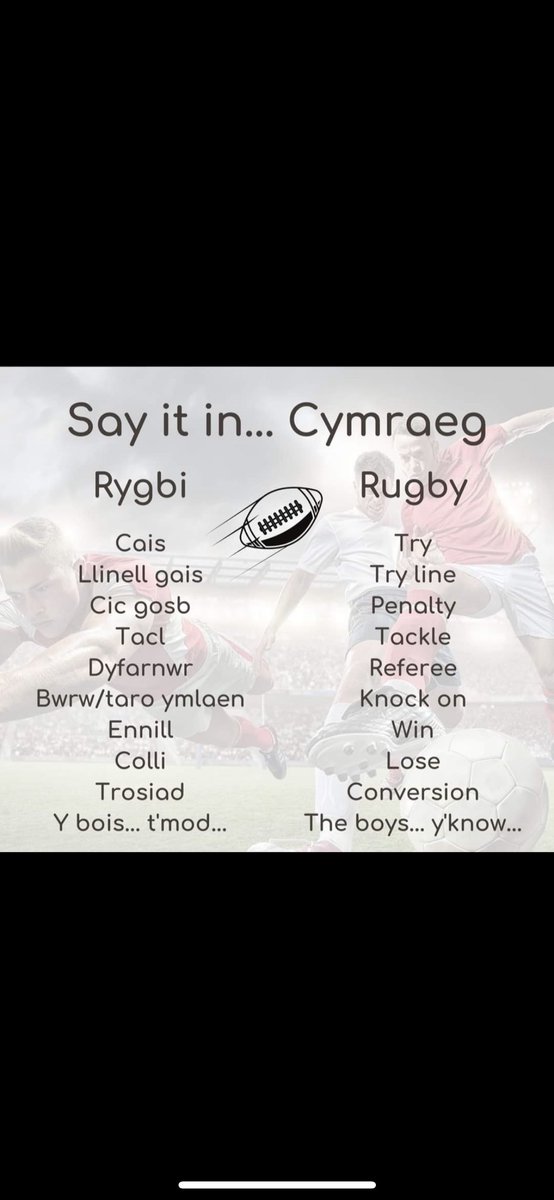 NewbridgeWelsh tweet picture