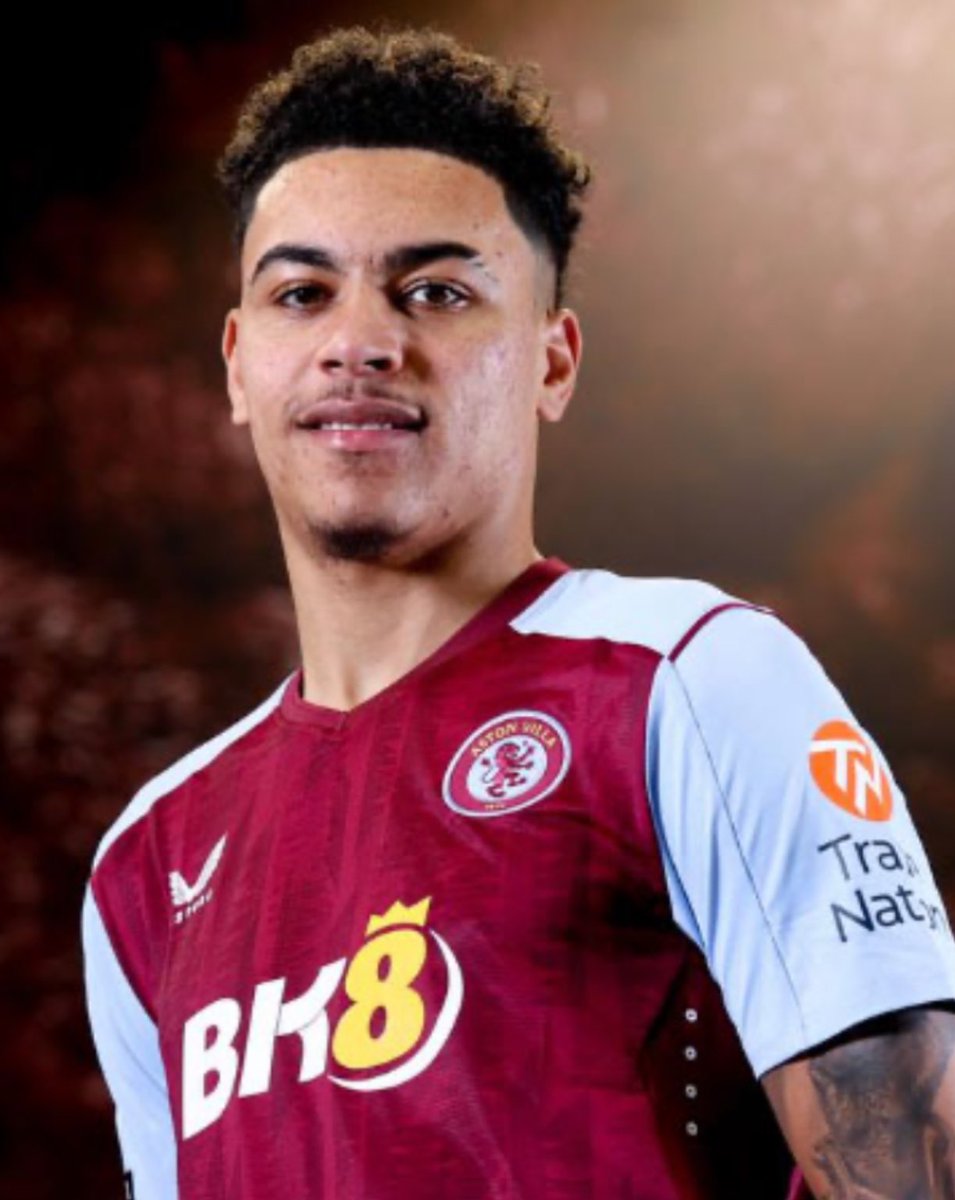 GEL 🦁 tweet media