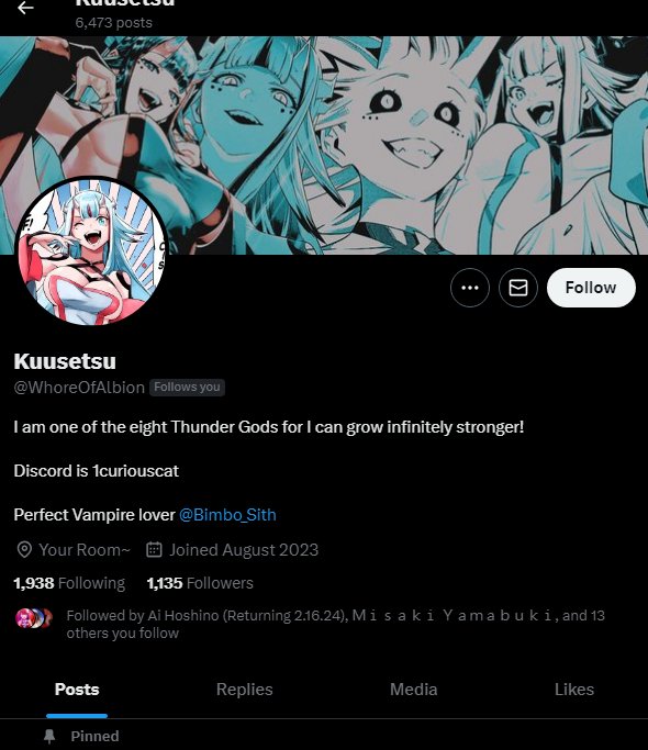 NarukamiKuu's tweet photo. TW// Loli and layout stealing 

Ain't no damn way they stole my header that Li made for me 😭

And they use fucking Blue Archive and Honkai Loli shit 

You gotta go sis we don't want you here 💅 https://t.co/d98LCz6zN1