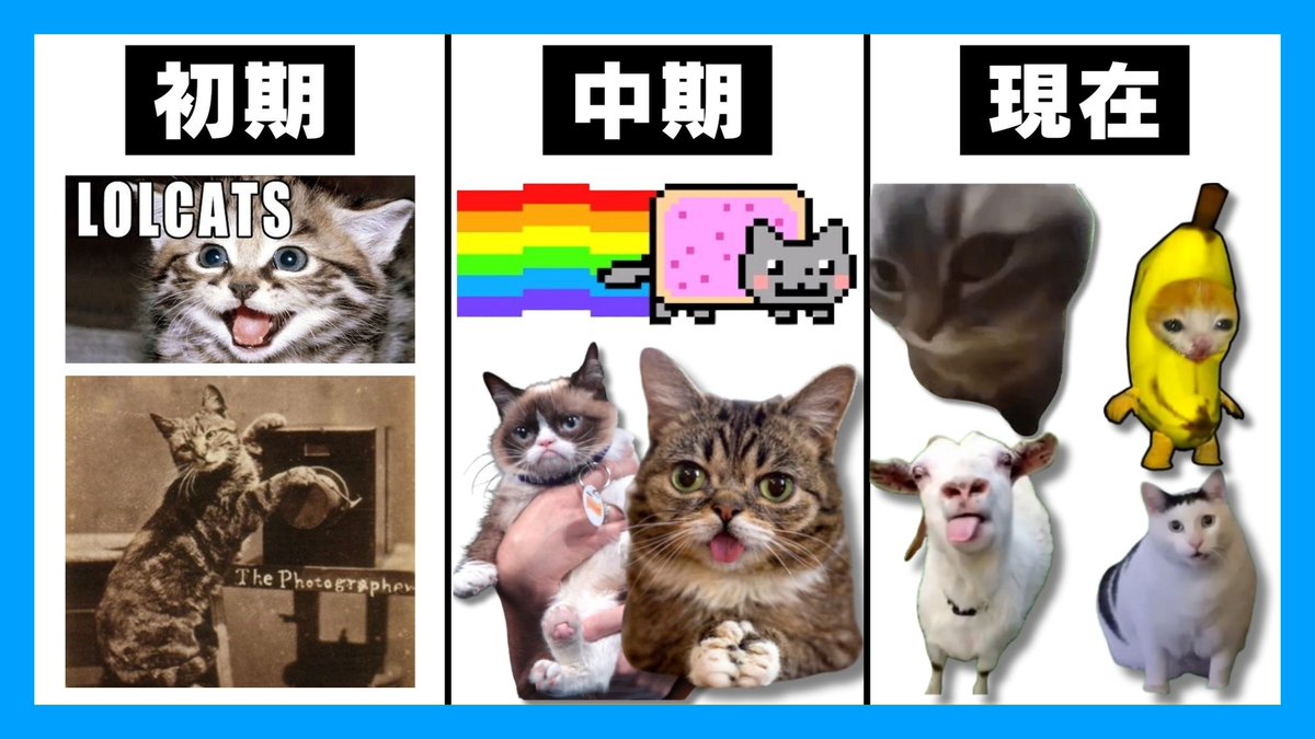 今日の動画です！ 【2024年再ブーム】猫とネットミームの歴史を徹底解説。【猫ミーム/猫meme】 https://t.co/jZj5DgohhY # 海外ミーム #猫ミーム