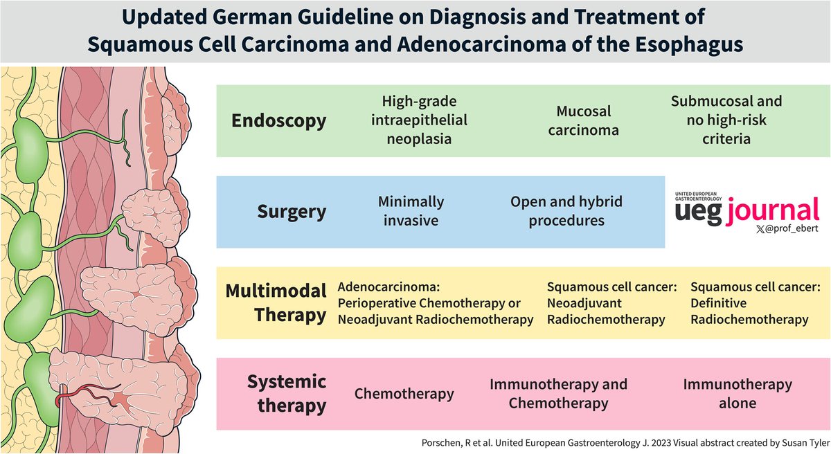 🆕@uegjournal 🇩🇪 Esophageal Carcinoma Guideline 📓#Endoscopy, #Surgery, #Radioltherapy Systemic Therapy 👓doi.org/10.1002/ueg2.1… @prof_ebert @Rath2Timo @UDenzer @wileyhealth