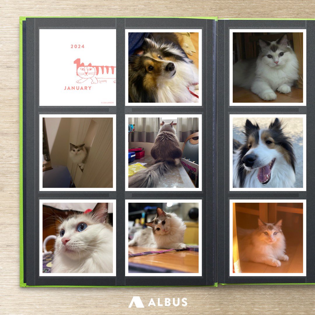 すすすぎっち (@hiko92kuni) on Twitter photo 