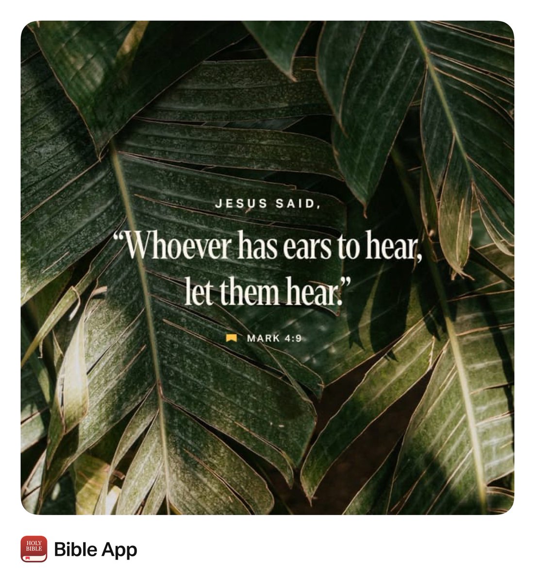 CraigPetrus's tweet image. Amen!
#FaithJourney #PrayerLife #ListenForGod #ListenToGod #GodIsCallingYou #LetGodIn #FaithNotFear #LetGoLetGod #Humility #Believe #Blessed #GodSpeaks #TeamGod #TeamJesus #TeamPetrus