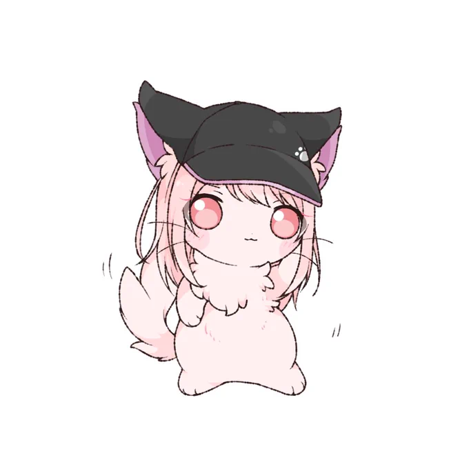 猫ミ…… 