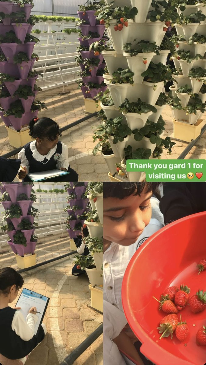 Unleashing the wonder of nature! Exploring the greenhouse with amazing students. 🌿🍓#GreenhouseAdventures