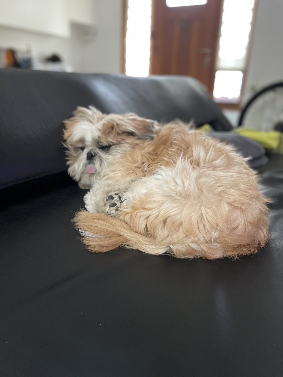 ferchuvel's tweet photo. @lagarzasosa_ @calm_essimple Necesito mi propia cama para tener un buen descanso @calm_essimple @lagarzasosa_ https://t.co/TGcAj5sg8g