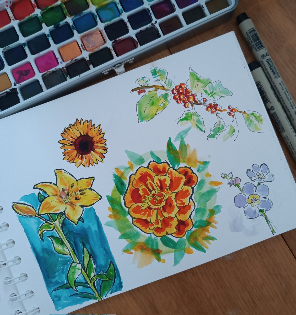 j3tuska's tweet photo. trying to draw plants https://t.co/1GQtqwMzWN