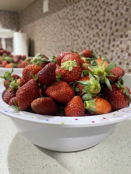 novakrypt's tweet photo. One thing about this fruit ?? https://t.co/PqvzxEWPV8