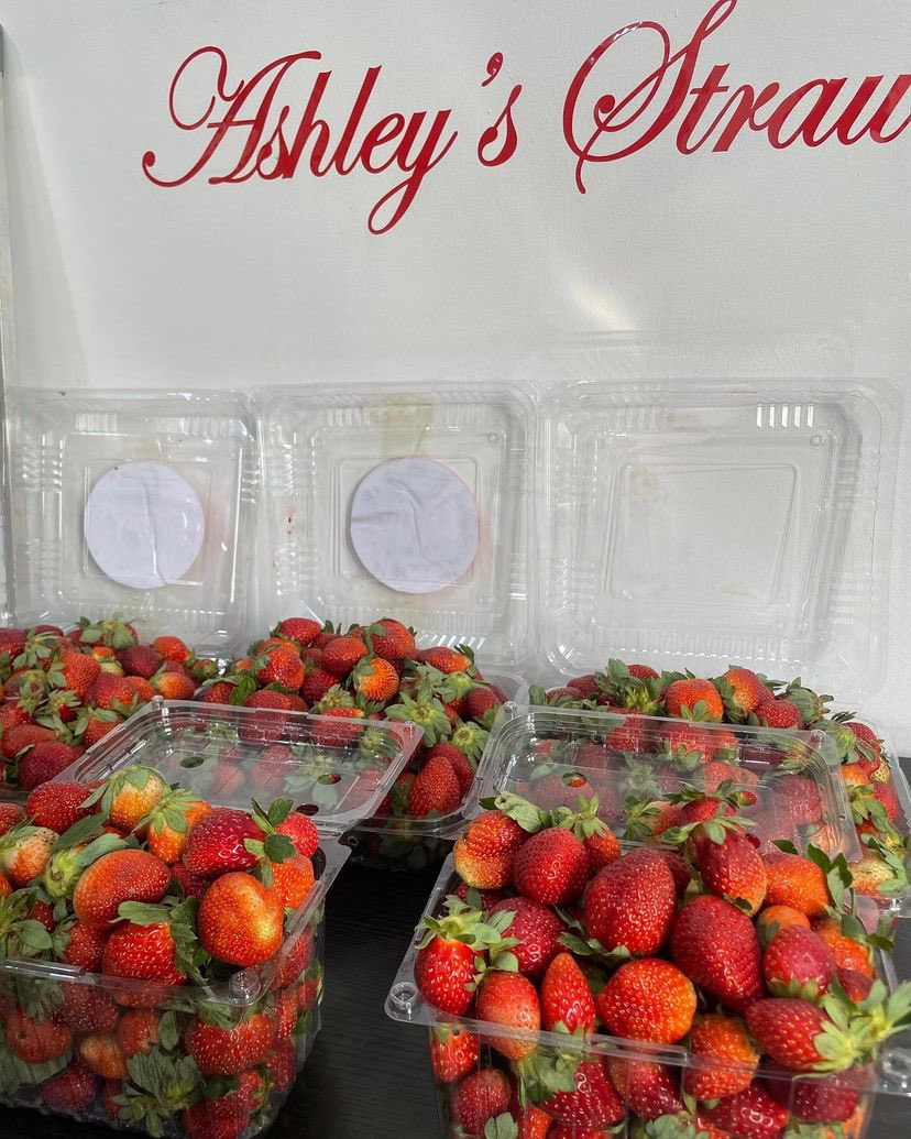 novakrypt's tweet photo. Meanwhile, @AshleysStrawB sells the best strawberries around towns like Ph, lagos and kaduna. 

Make your orders now ❤️ https://t.co/rrdxWbQPkI