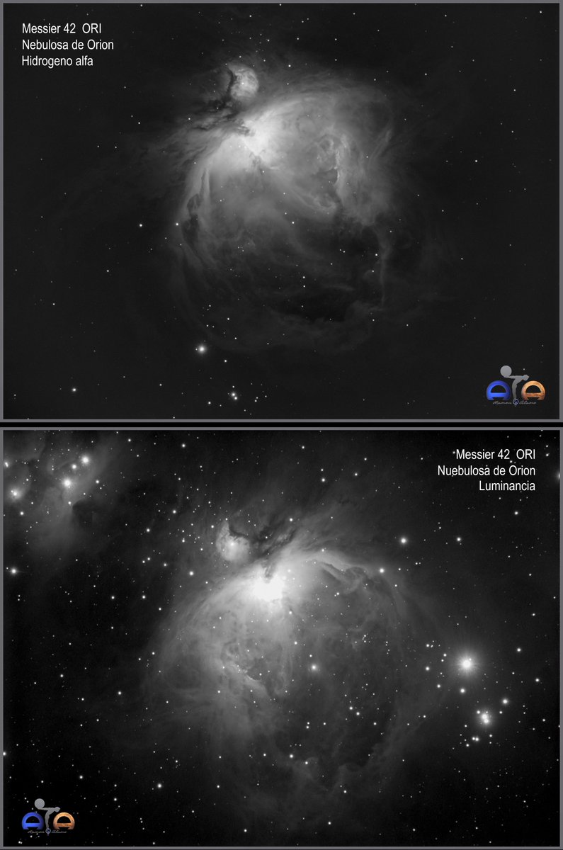 AstroRamonAlamo's tweet photo. Nebulosa de Orión (M42)
Diferencias entre un apilado en luminancia y con el filtro Ha.
Atik 314L+
SW ED-72
N.I.N.A.
SIRIL
Ramon Alamo.
.
#m42 #orion #orionNebula #nebulosaDeOrion #messier42 #messier #atik #longexposure #astrofotografia #astrophotography #sky #cosmos https://t.co/tEpjc8zcnE