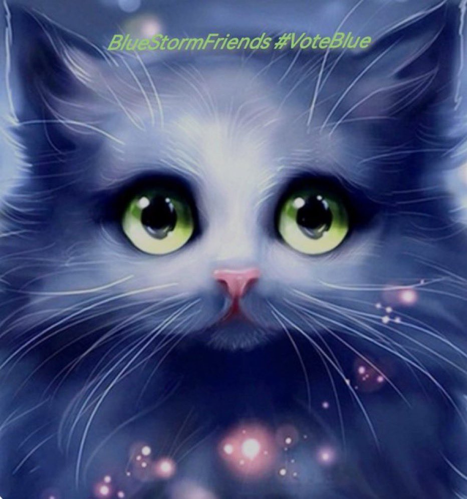 Happy #Caturday #BlueStormFriends 

You want to connect with more true blue #NeverTrumpers then drop a 💙
Vet 👣like Repost

I random boost my followers for participating!  Have an awesomely fun day all! ❤️

#BlueStormBoosts #CatsOnTwitter 
#RidinWithBiden #SaturdayVibes ✌️