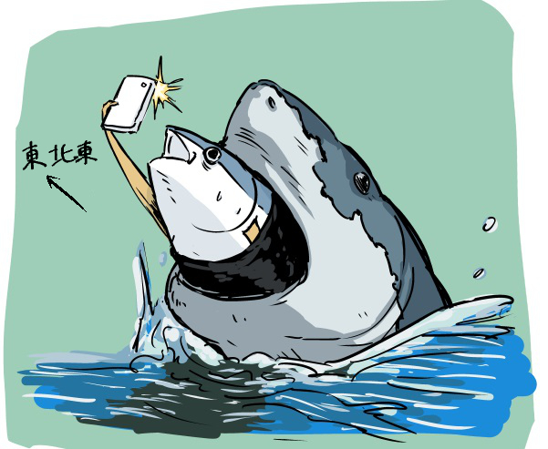 「fish shark」 illustration images(Latest)