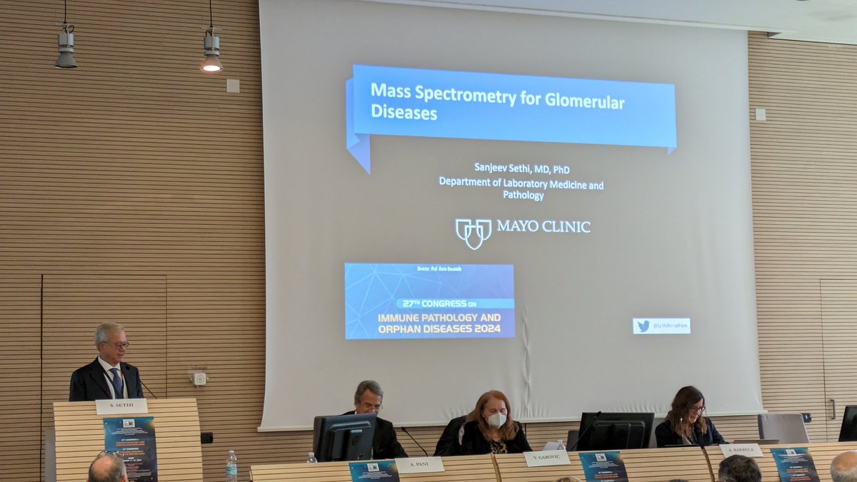 kuzco90's tweet photo. the 27th Congress on Immunopathology and Orphan diseases, Turin 2024. Wonderful presentation about Mass Spectrometry for Glomerular Diseases by @SethiRenalPath https://t.co/wem7WWP3C3