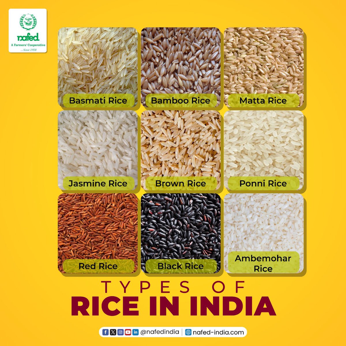 nafedindia's tweet photo. In India, there are many types of rice found, but there are nine famous rices that are cultivated in India.
Basmati rice,Jasmine rice, Red rice, Brown rice, Bamboo rice, Black rice, Ponni rice, Matta rice, and Ambemohar rice.
#NAFED #Rice #typesofrice #NAFEDIndia #Farmtokitchen https://t.co/HEu2UiEOm3