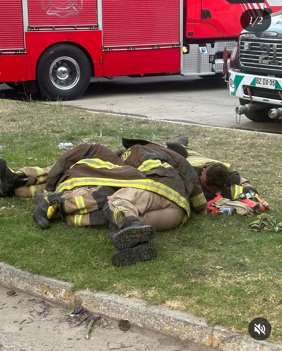 Andrés Wallis tweet media