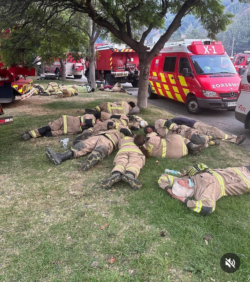 Andrés Wallis tweet media