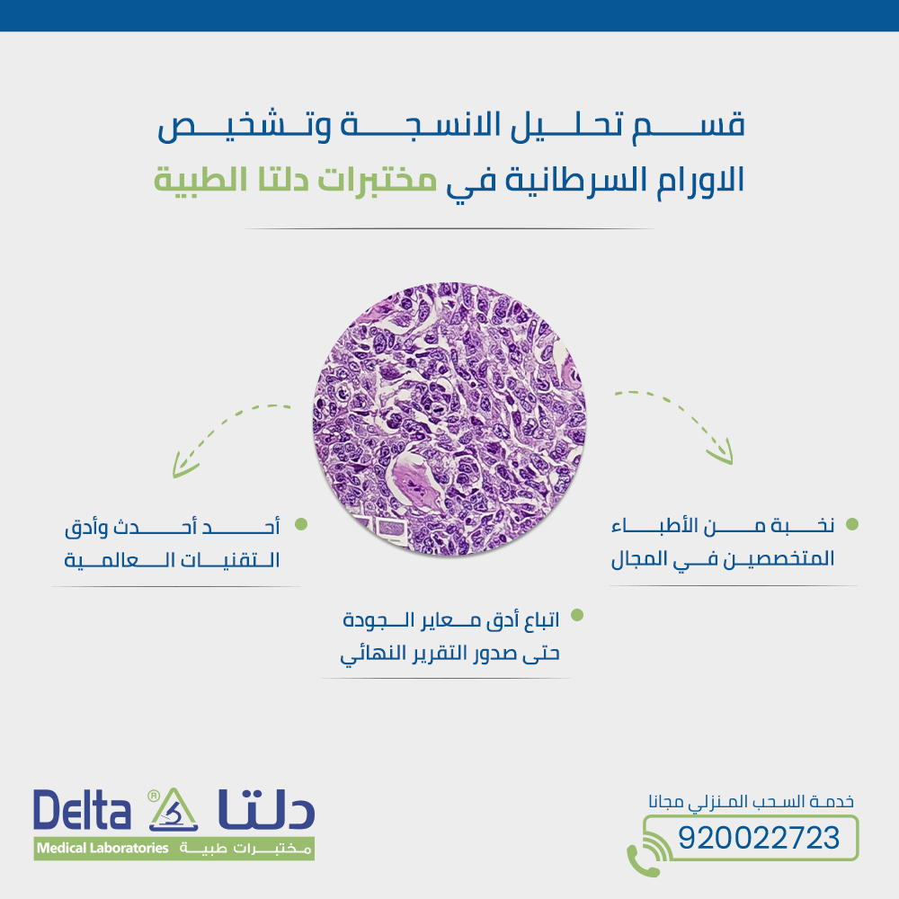 deltamedlab's tweet photo. نفتخر في مختبرات دلتا الطبية بتخصصنا في أهم المجالات الطبية ومن ضمنها قسم الأنسجة و #الأورام
حيث نمتلك طاقم طبي يضم نخبة من الأساتذة، وأحد أحدث التقنيات في مجال تشخيص #الأمراض_السرطانية
#Telepathology #DigitalPathology #Telemedicine
#علم_أمراض_الدم https://t.co/yFyc7hltyS