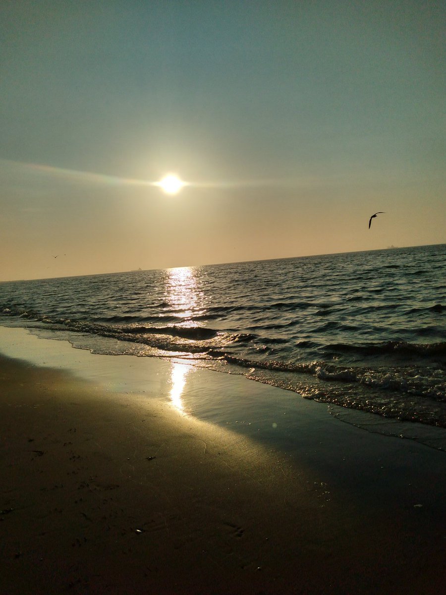 A picture  taken by you?