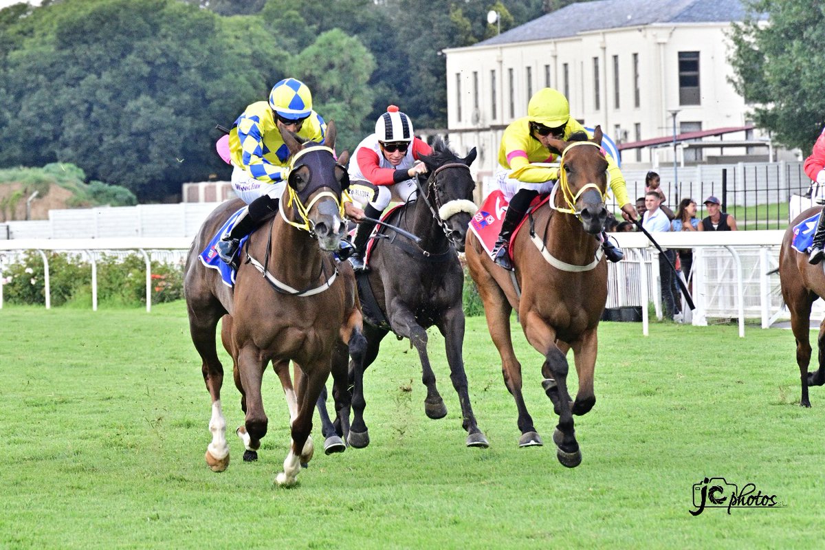 RacingTodayTV's tweet photo. 🏆#GuineasDay 3 February – RACE 5🇿🇦

Winner: MAGICAL FLIGHT (Willow Magic - Victory Tale)
Owner:  C Zoghby, M Currie, C Francis, B Gardner, J Lahoud, A Peters, L Pogir, Mrs BMA Lahoud &amp; Sean Tarry Racing (Pty)Ltd
Breeder: Summerhill Stud
Trainer: Sean Tarry
Jockey: Serino Moodley https://t.co/EGkdUda0Ea
