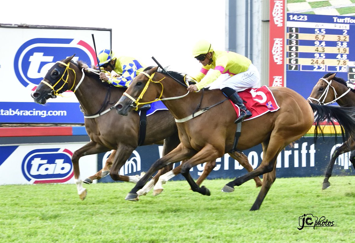RacingTodayTV's tweet photo. 🏆#GuineasDay 3 February – RACE 5🇿🇦

Winner: MAGICAL FLIGHT (Willow Magic - Victory Tale)
Owner:  C Zoghby, M Currie, C Francis, B Gardner, J Lahoud, A Peters, L Pogir, Mrs BMA Lahoud &amp; Sean Tarry Racing (Pty)Ltd
Breeder: Summerhill Stud
Trainer: Sean Tarry
Jockey: Serino Moodley https://t.co/EGkdUda0Ea