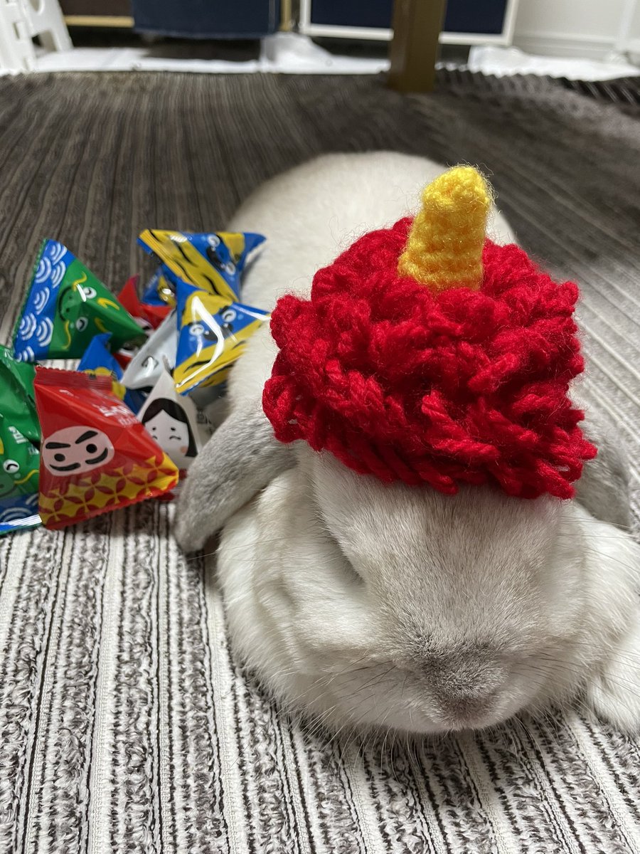 too_BirdiE's tweet photo. 今年も豆まき完了〜🤲 https://t.co/5Lo1DsOD4q