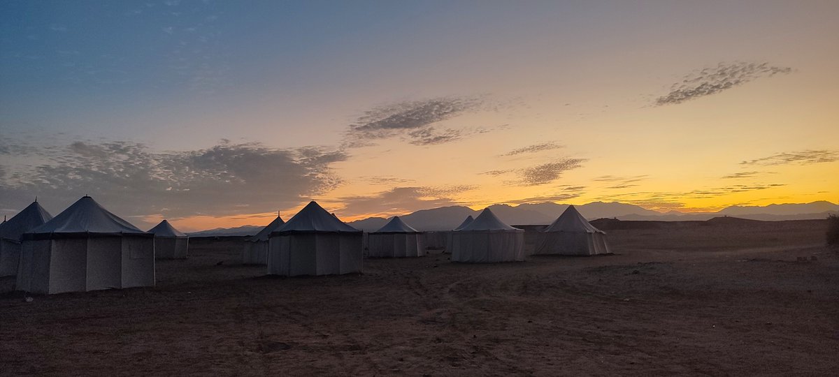 BrassardColline's tweet photo. I spent such a lovely week with the Polish excavation team in Berenice, in southern Egypt near the Red Sea, photographing cats and dogs (deceased ones, of course, in case you still don't know me)! https://t.co/bRejRxR8iN