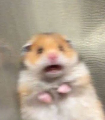 the resemblance is uncanny