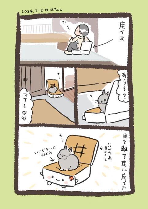 はんなりrabbit…

#うさぎのいる生活 