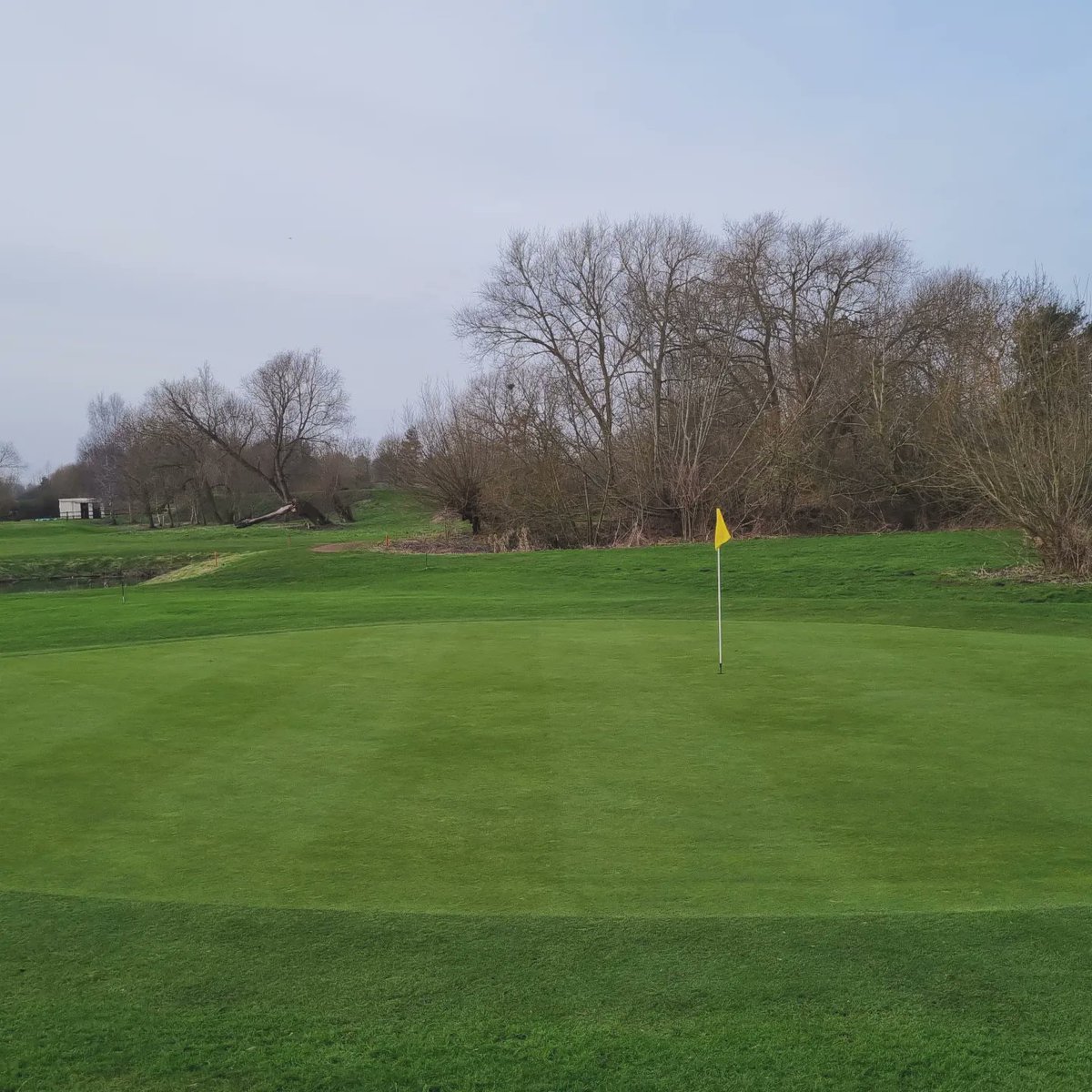 GolfAtDrayton's tweet photo. I honestly don't believe I've ever seen the golf course looking so good at the start of February. The final bits of clearing have taken place this week along the Brook, and with the drying weather conditions, mowers have been out mowing before the grass got any longer. https://t.co/KltcF4AVmI