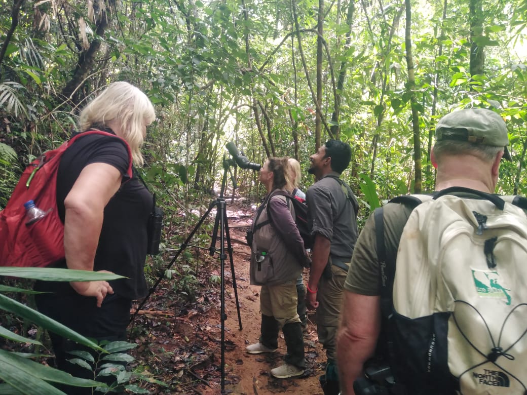 BandW_Team's tweet photo. On a recent birding and wildlife tour for David and the group from USA, guided by Diluksha Soysa of Bird and Wildlife Team. 

https://t.co/0heGHRMMLE Sri Lanka 

#birds #mammals #birdwatching #birding #birdphotography #nature #wildlife #naturephotography #srilankatour https://t.co/xCUD9lajBe