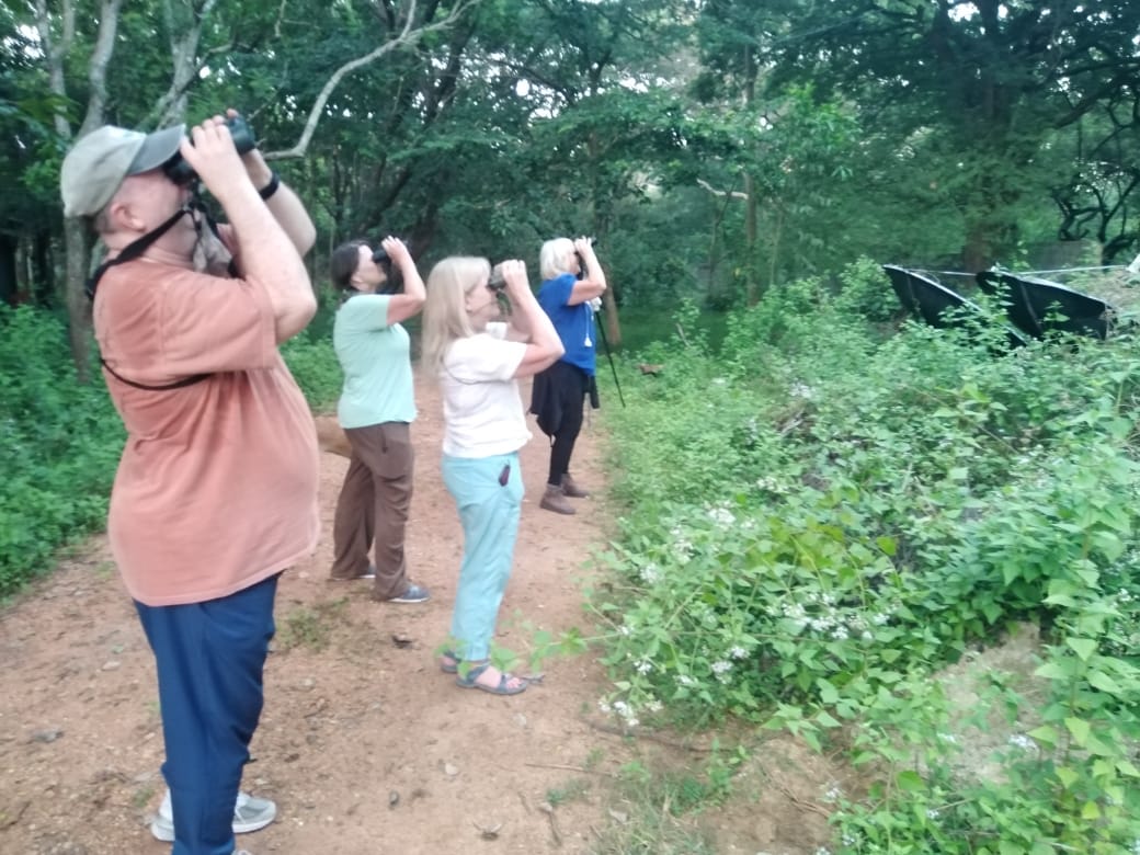 BandW_Team's tweet photo. On a recent birding and wildlife tour for David and the group from USA, guided by Diluksha Soysa of Bird and Wildlife Team. 

https://t.co/0heGHRMMLE Sri Lanka 

#birds #mammals #birdwatching #birding #birdphotography #nature #wildlife #naturephotography #srilankatour https://t.co/xCUD9lajBe