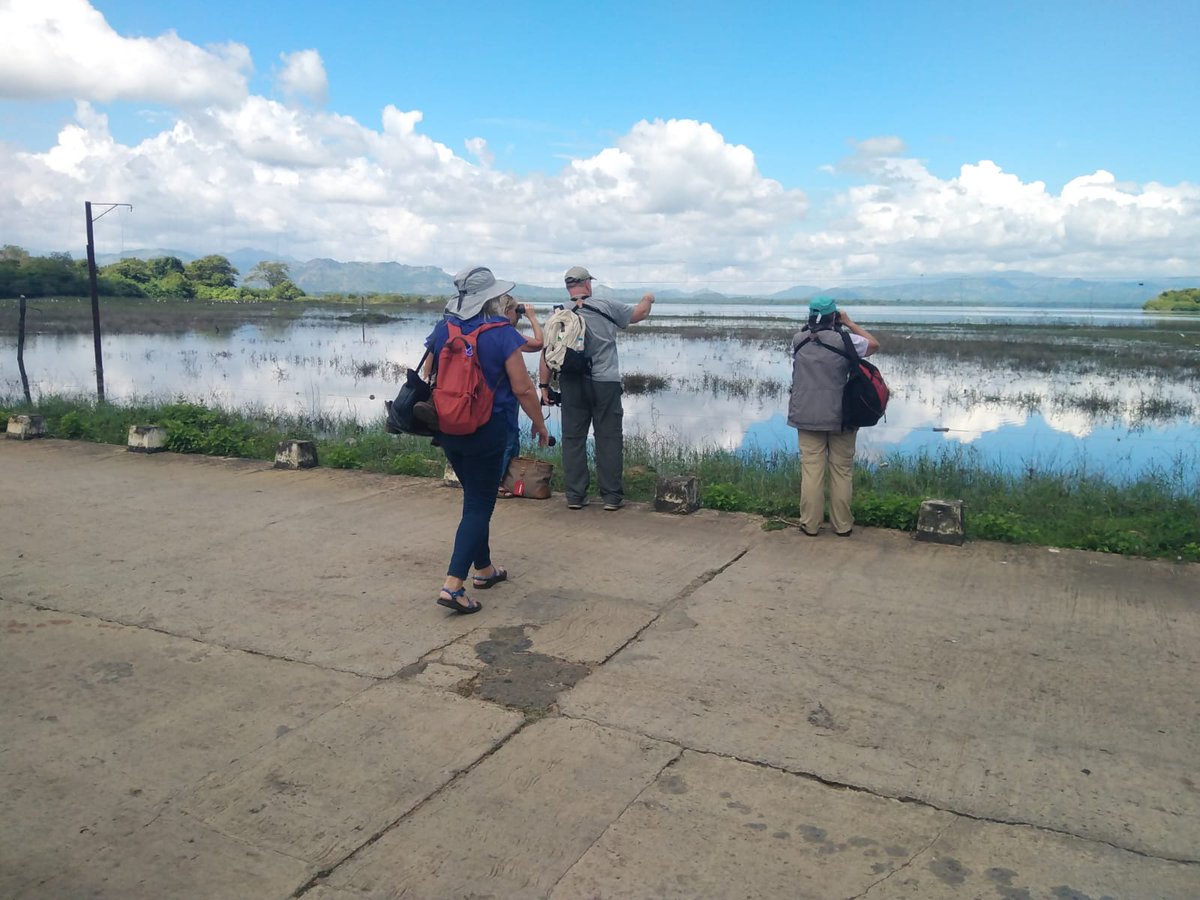 BandW_Team's tweet photo. On a recent birding and wildlife tour for David and the group from USA, guided by Diluksha Soysa of Bird and Wildlife Team. 

https://t.co/0heGHRMMLE Sri Lanka 

#birds #mammals #birdwatching #birding #birdphotography #nature #wildlife #naturephotography #srilankatour https://t.co/xCUD9lajBe