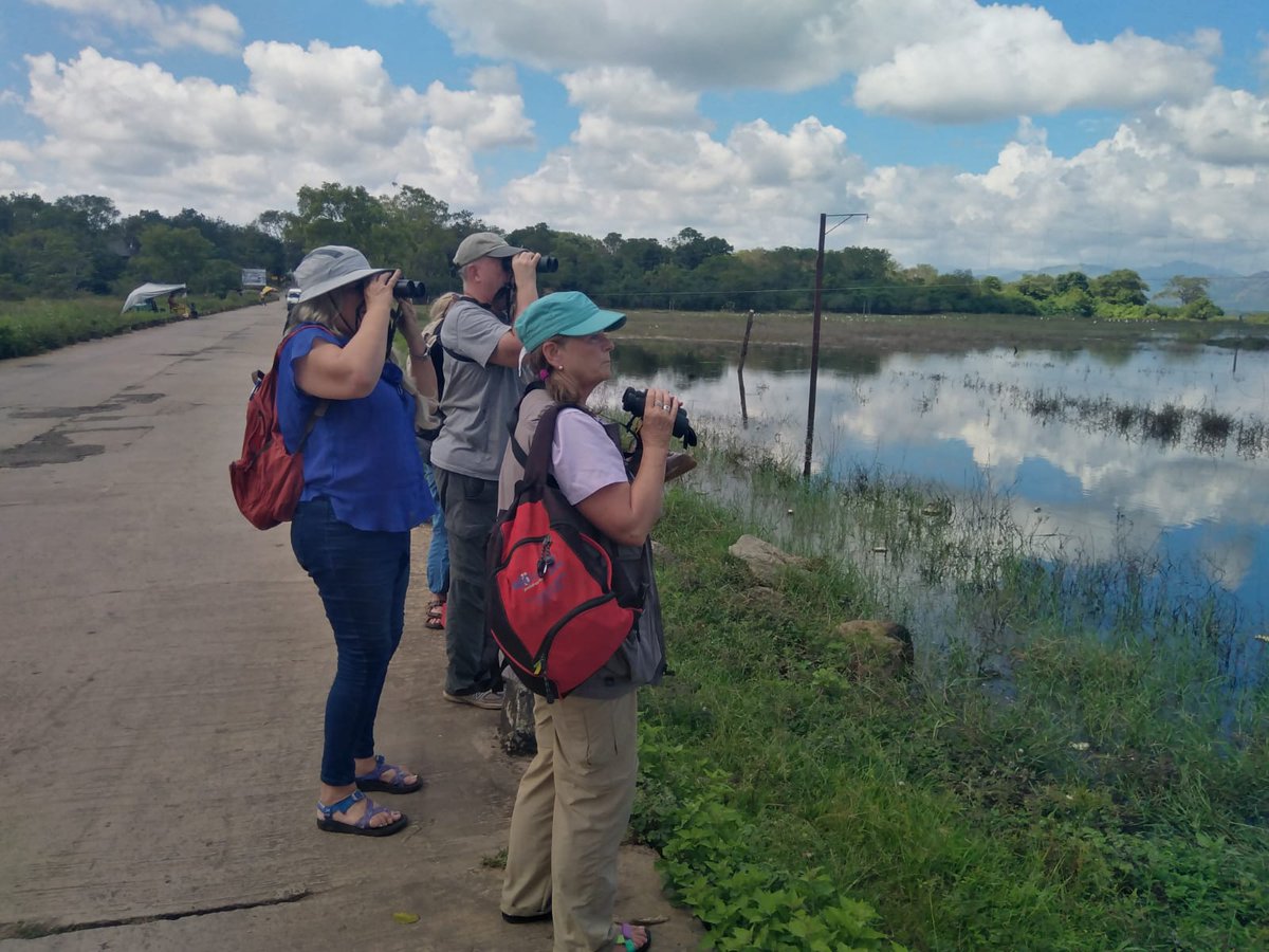 BandW_Team's tweet photo. On a recent birding and wildlife tour for David and the group from USA, guided by Diluksha Soysa of Bird and Wildlife Team. 

https://t.co/0heGHRMMLE Sri Lanka 

#birds #mammals #birdwatching #birding #birdphotography #nature #wildlife #naturephotography #srilankatour https://t.co/xCUD9lajBe