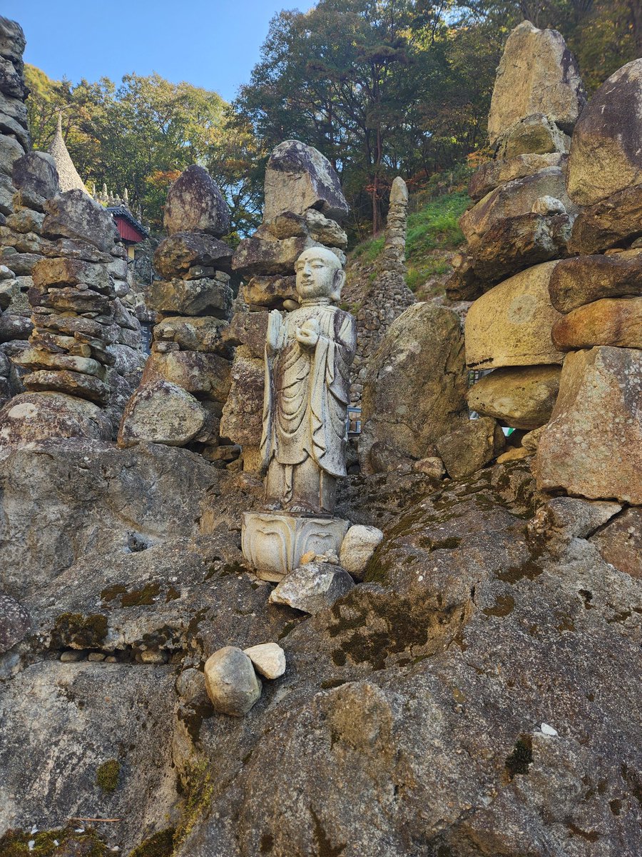 박제로미 (@bagjelomi) on Twitter photo 