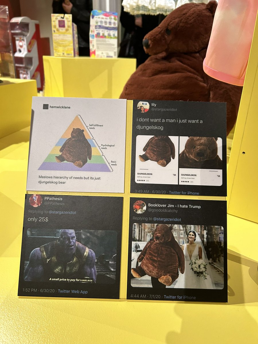 IndiaAbbott14's tweet photo. memes on display at an irl exhibition… https://t.co/ZnWqy8ehgI