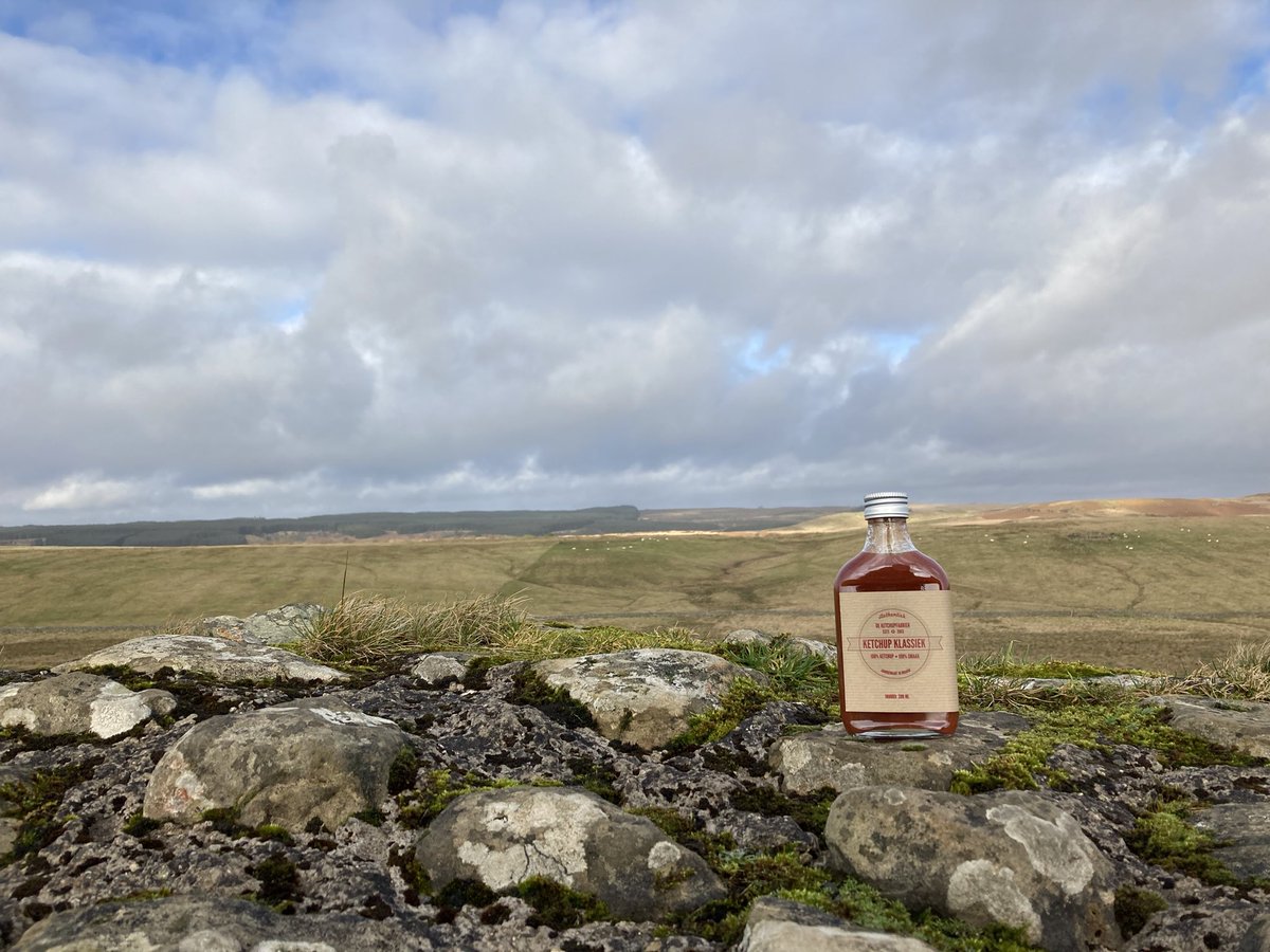 keizerenco's tweet photo. #Ketchie op de grens van het Romeinse rijk (Hadrian’s wall). https://t.co/LhYqgh8v55