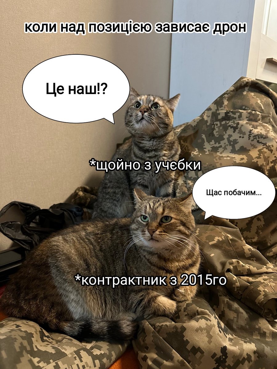 captain Priceюк tweet media