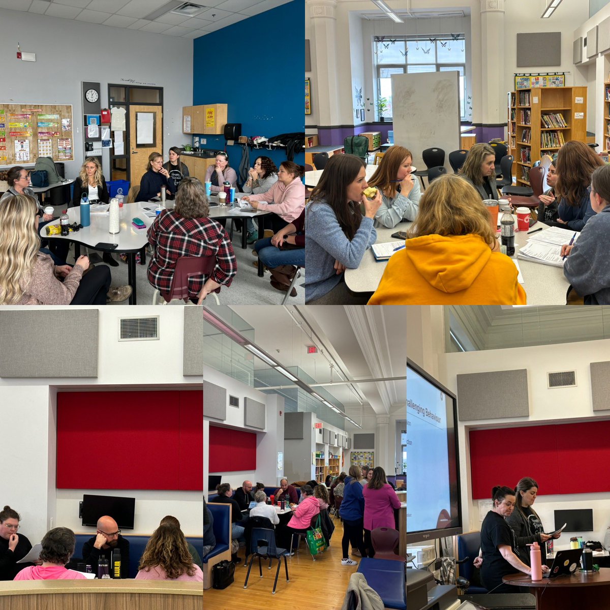 Michele McGrath tweet media