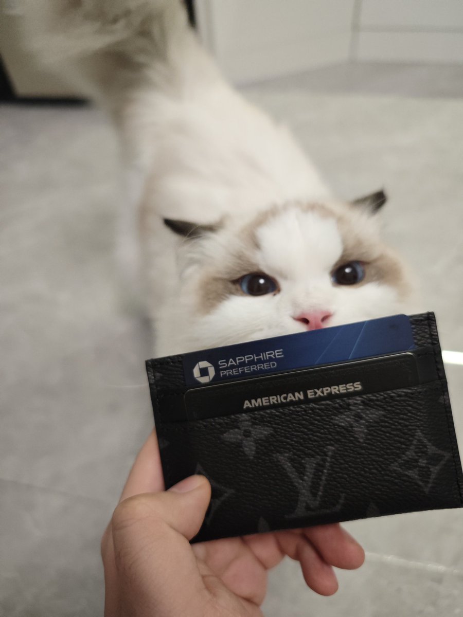 新买了个卡包 顺便炫下猫