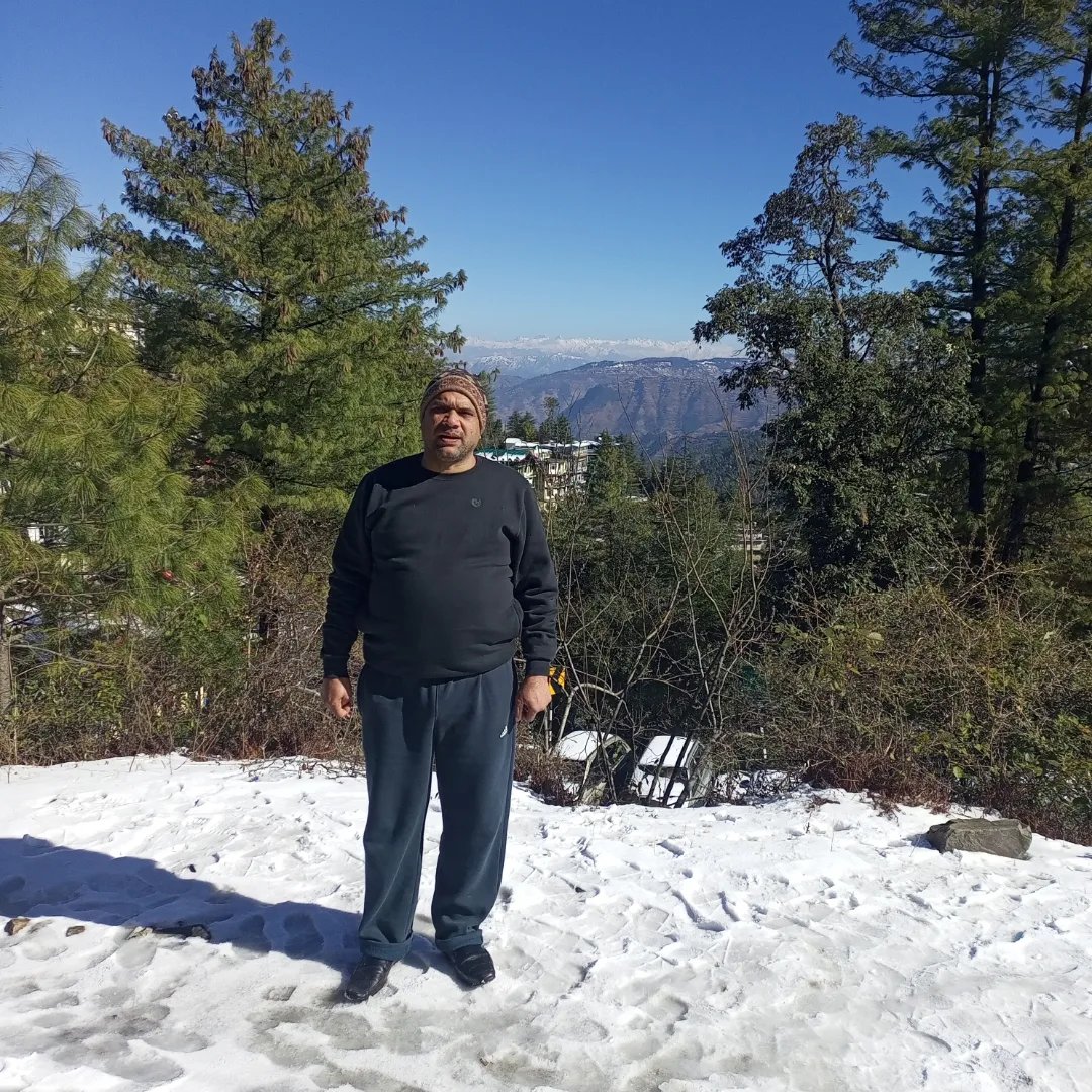 Pramodbahl2's tweet photo. शिमला में बर्फबारी का आनंद लेते हुए https://t.co/Cp6rpYwJey