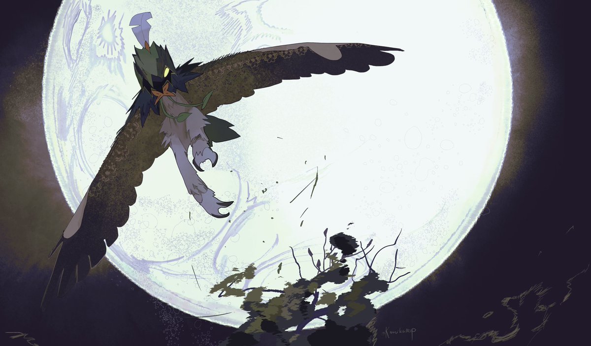 風目艮彡 tweet media