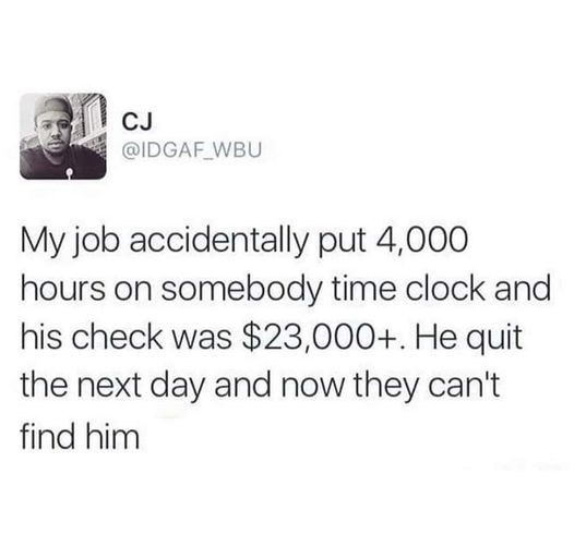 Orwell & Goode tweet media