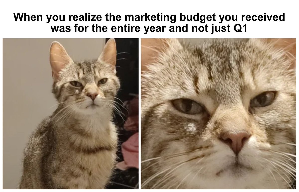 Semrush tweet media
