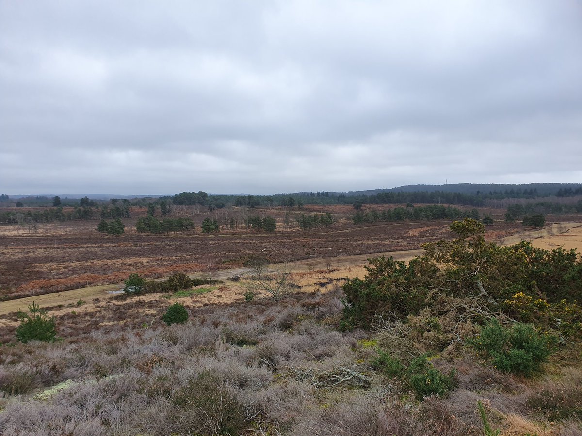 ZhepzyMudRunner's tweet image. Day 3/29 fundraising for Pancreatic Cancer for Katie ❤️ 
justgiving.com/page/east-hant…
Proper beautiful out there today, even though I have numb legs from a prolapse disc ..
#TWC #TwittaWinterChallenge #SonicWinterSprinters