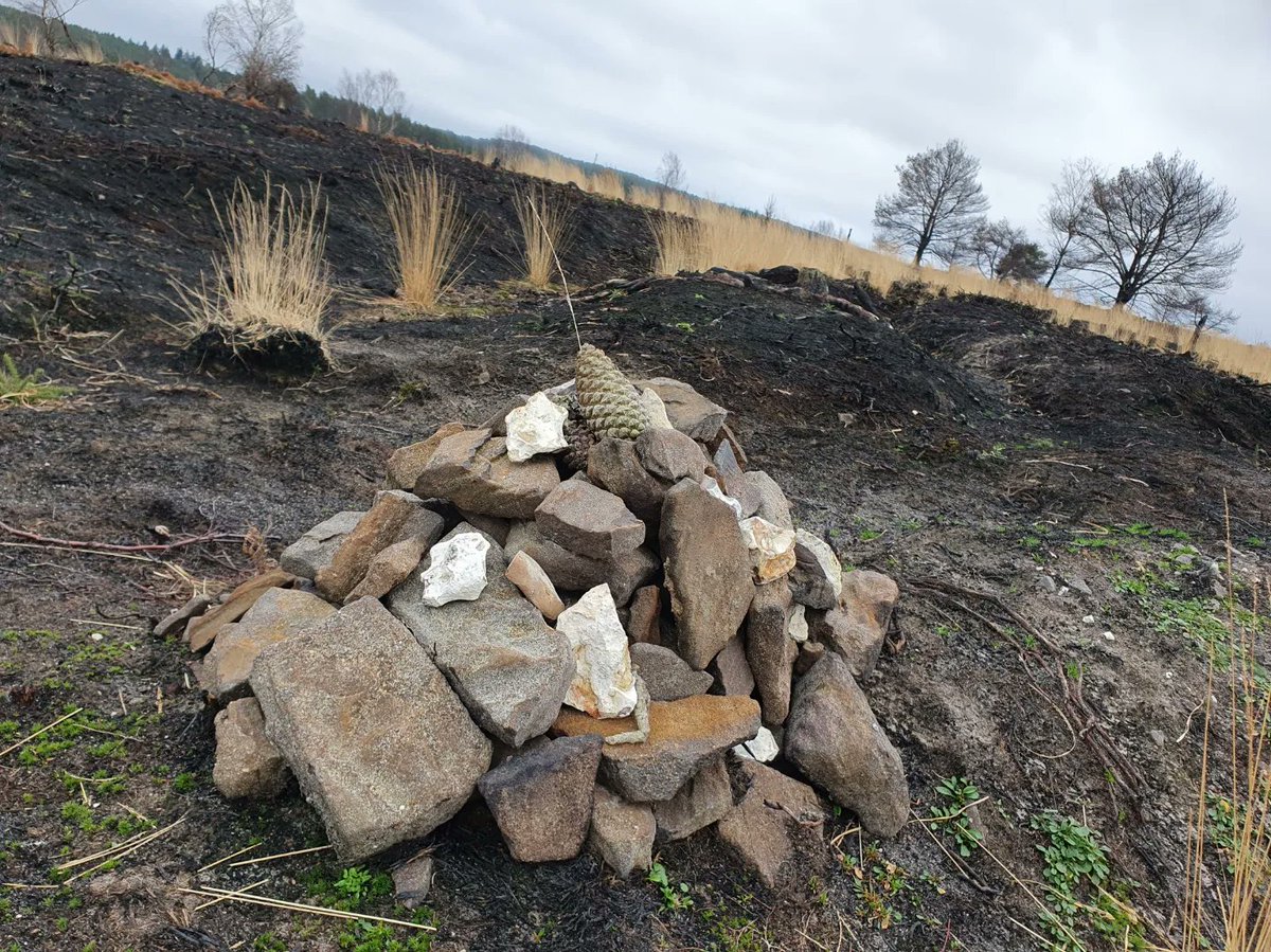 ZhepzyMudRunner's tweet image. Day 3/29 fundraising for Pancreatic Cancer for Katie ❤️ 
justgiving.com/page/east-hant…
Proper beautiful out there today, even though I have numb legs from a prolapse disc ..
#TWC #TwittaWinterChallenge #SonicWinterSprinters