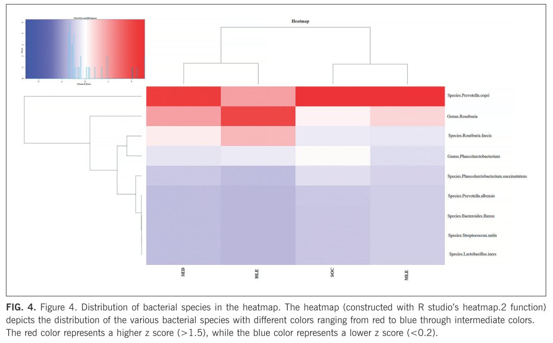 🆕 insights into the effects of different levels of physical activity on the composition of the gut #microbiota ⚽️🏃‍♂️
✍️Cristian Petri, Gabriele Mascherini, Pascal Izzicupo et al. 
🔓#OpenAccess 🔗 termedia.pl/Gut-microbiota…
