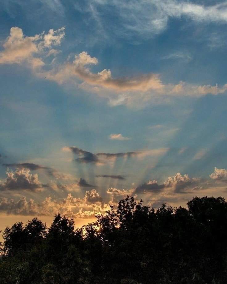 '...Azul, así habla el cielo cuando encumbre su infinito...'

Zabé Covarrubias
En: 'Historia de los días'.
México, 2024.
©Derechos reservados 

#creerparacrear 🌻 #zabecovarrubias #escritora #letras #versos #días #historias 
#poesía #azul #cielo #infinito