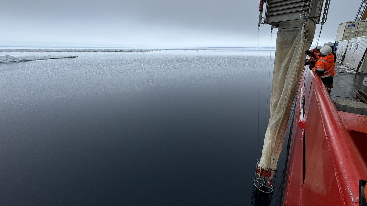 A mirror-lake morning in the Weddell Sea. ‘MAMMOTH’ net slowly sieve and lift up the organic carbon from beneath us. #AntarcticPICCOLO @BAS_News @PlymouthMarine @ueaenv @UniversityLeeds @PlymUni @univofstandrews